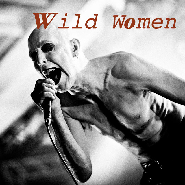 Wild Women cover art