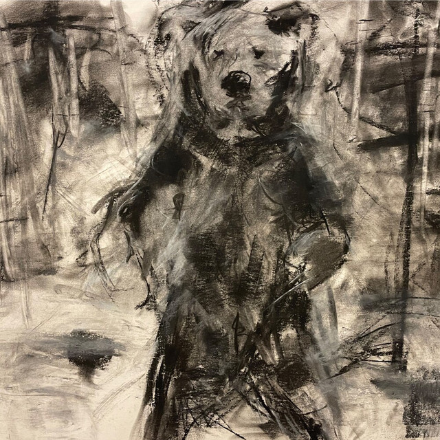 Bear in the Snow cover art