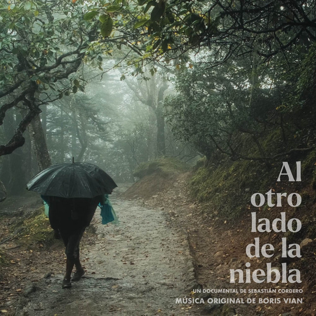 Al otro lado de la niebla cover art
