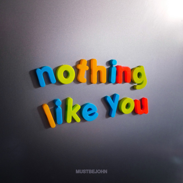 Pochette de Nothing Like You