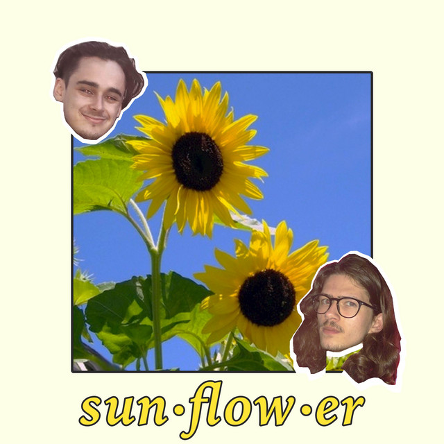 Sunflower cover art