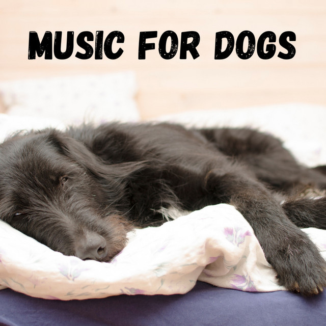 Music For Dogs cover art