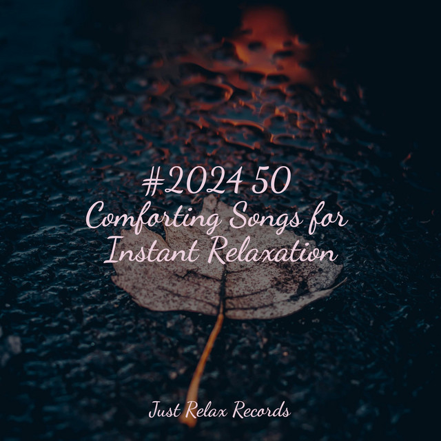 #2024 50 Comforting Songs for Instant Relaxation cover art