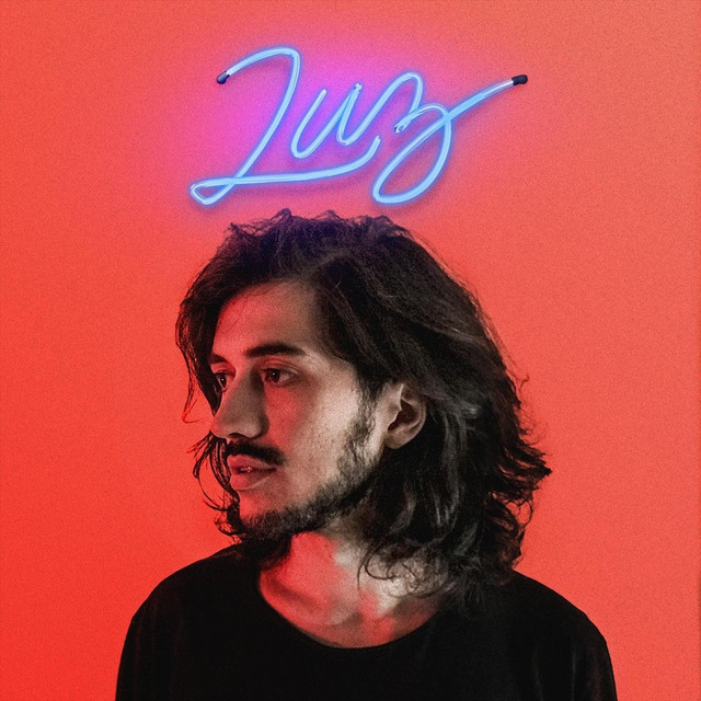 Luz cover art
