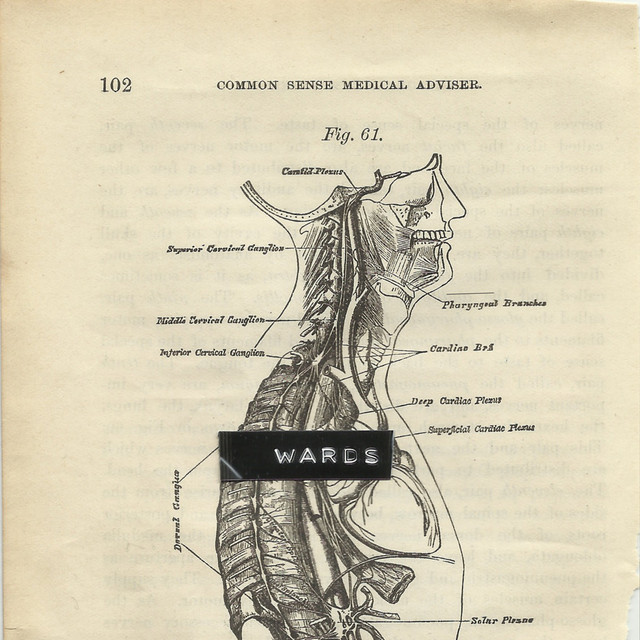 Wards cover