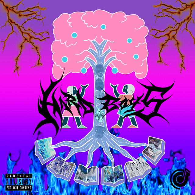 HardBoys cover art