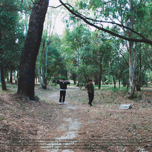 Scomparirò cover art