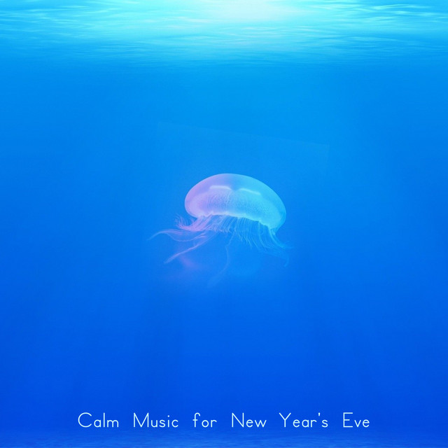 Calm Music for New Year's Eve cover art