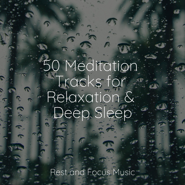 50 Meditation Tracks for Relaxation & Deep Sleep - Album by Children's ...