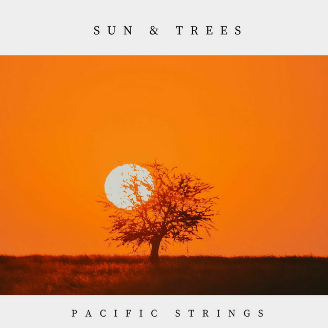 Sun & Trees