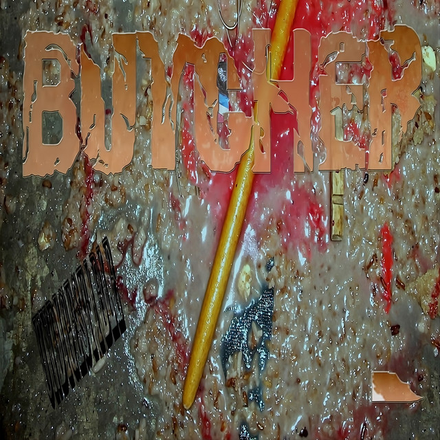 Undigestible cover art