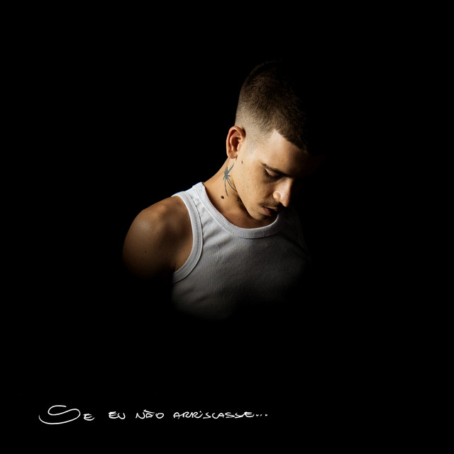 Se eu não arriscasse... cover art