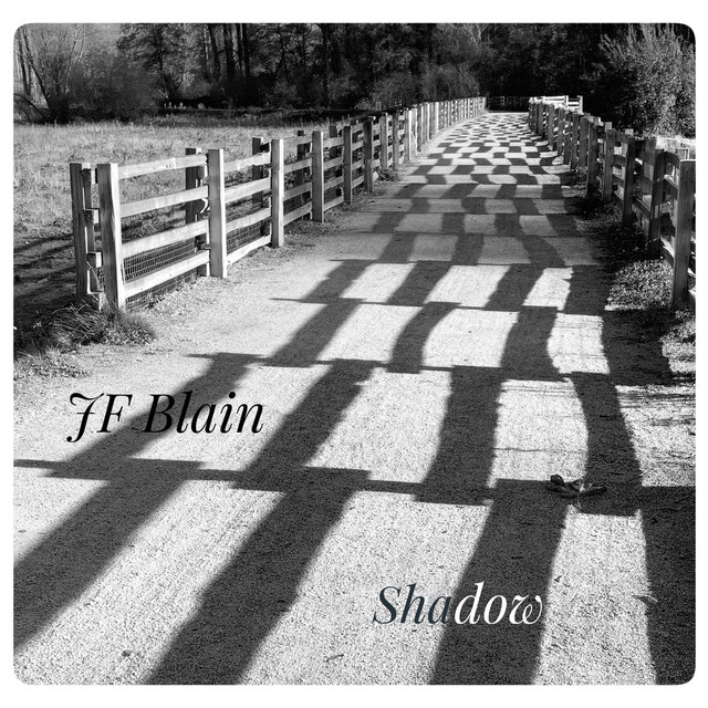 Shadow cover art