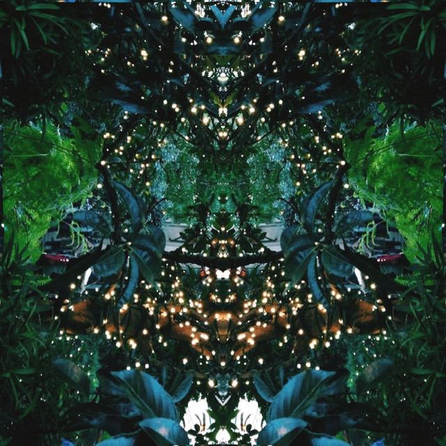 Insomnia cover art