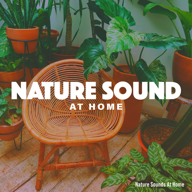 Nature Sound At Home - Album by Nature Sounds At Home | Spotify