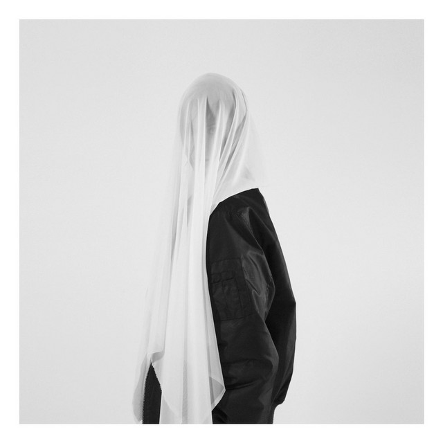 Grey Veils cover art