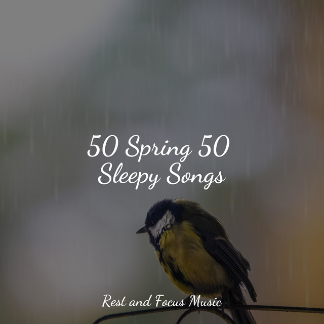 50 Spring 50 Sleepy Songs - Album by Sleep Meditation Dream Catcher ...