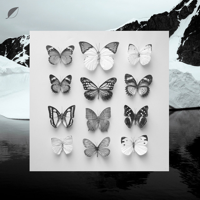 Young Alaska cover art