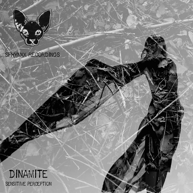 Sensitive Perception cover art