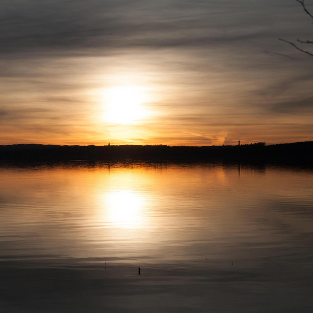 Stillness cover art