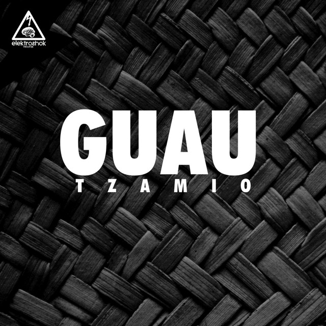 Tzamio album art