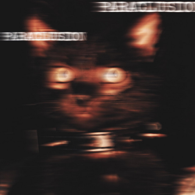 PARACLUSION cover art