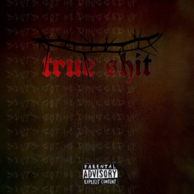 Обкладинка: True shit — ssankovvv