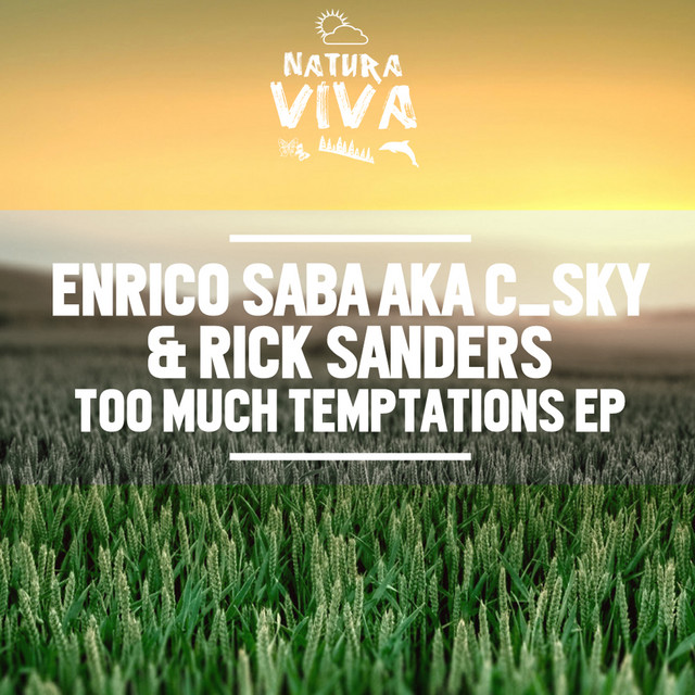Too Much Temptations cover art