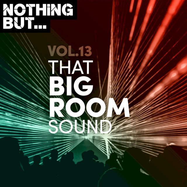 Nothing But... That Big Room Sound, Vol. 13 cover art
