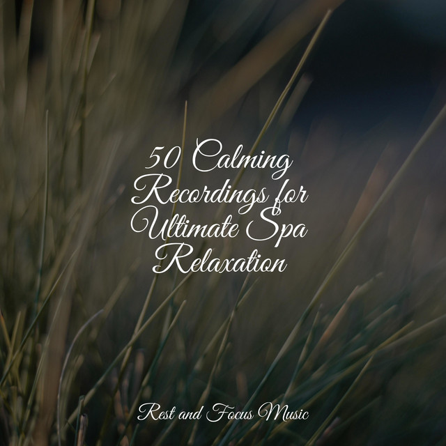 50 Calming Recordings for Ultimate Spa Relaxation - Album by Easy Sleep ...