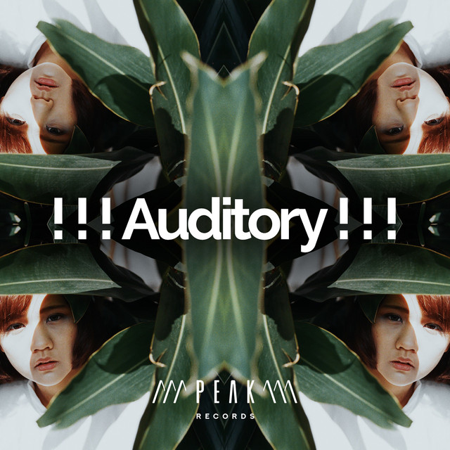 Auditory ! ! ! - Album by Pro Sound Effects Library | Spotify