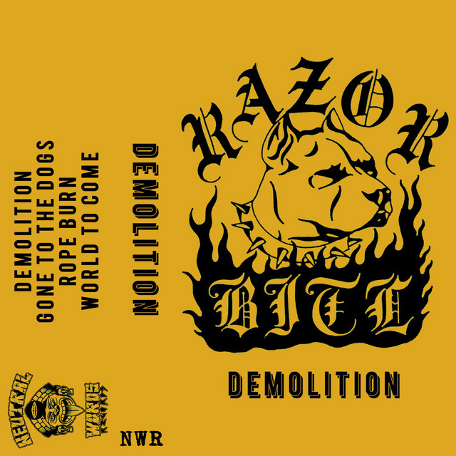 Demolition cover art