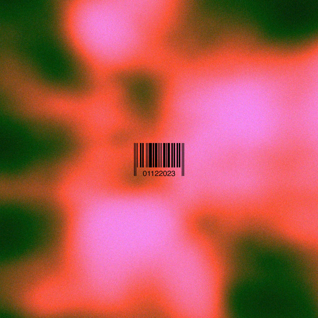 Past Noise / Future Envy cover art