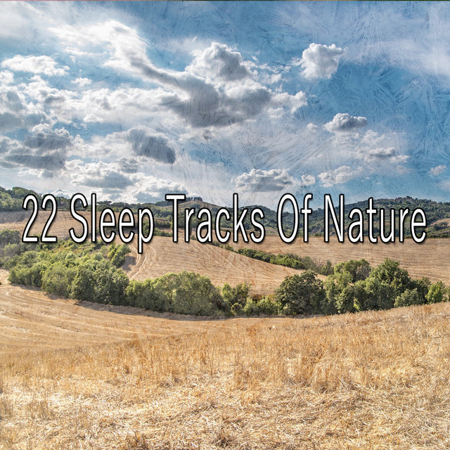 22 Sleep Tracks Of Nature - Album by Natural Samples | Spotify
