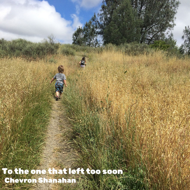 To the One That Left Too Soon cover art