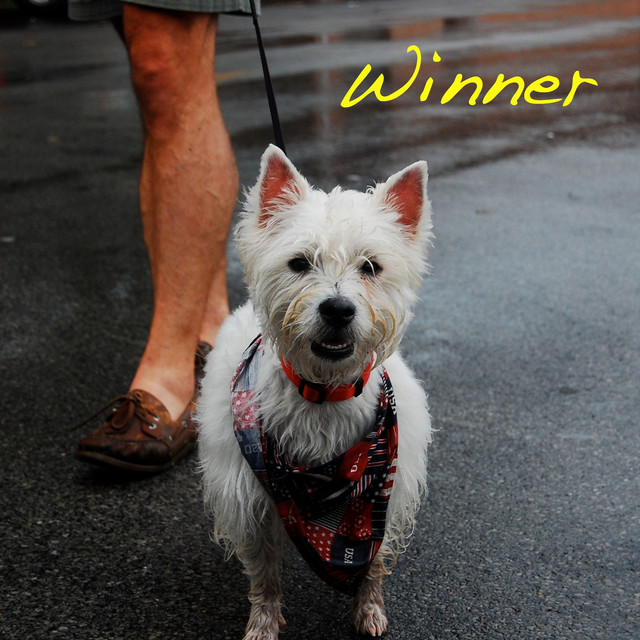 Knalerwten - Freedom