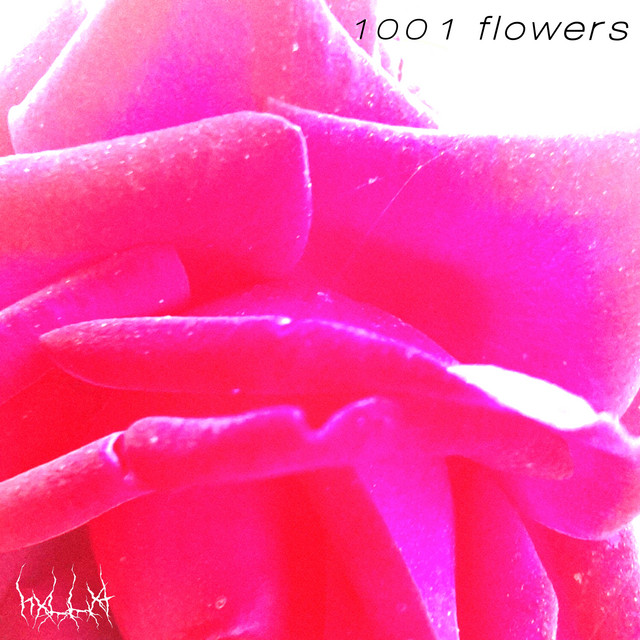 Обкладинка hxllxt — 1001 Flowers