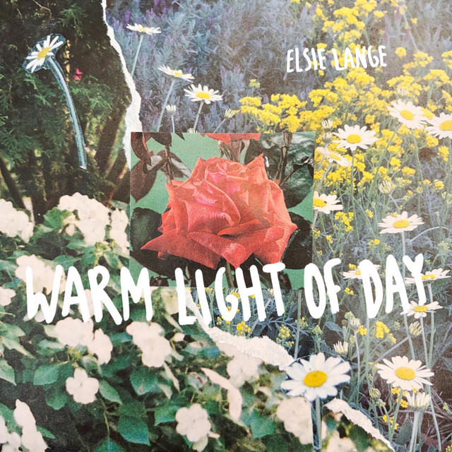 Warm Light of Day cover