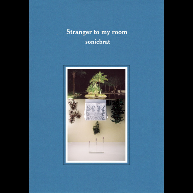 Stranger to My Room cover art
