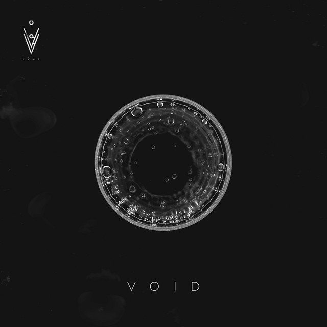 Void cover art