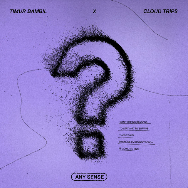ANY SENSE cover art