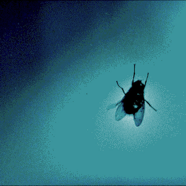 La Mosca Redux Ep1 cover