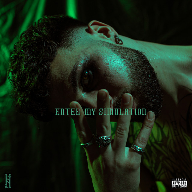 ENTER MY SIMULATION cover art