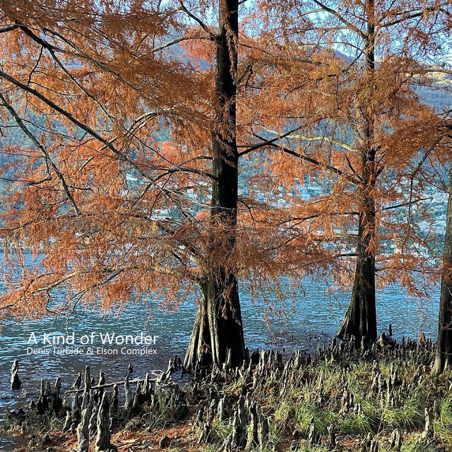A Kind of Wonder cover