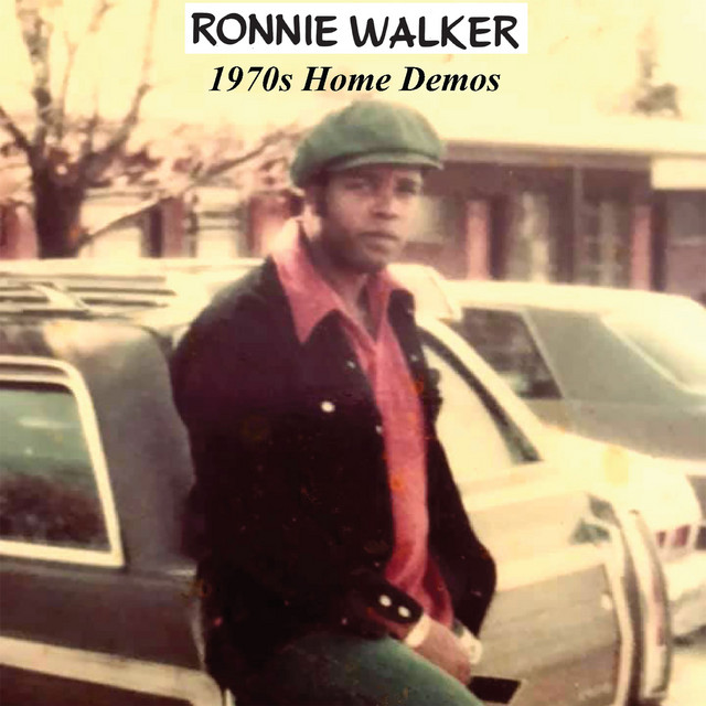1970s Home Demos cover art