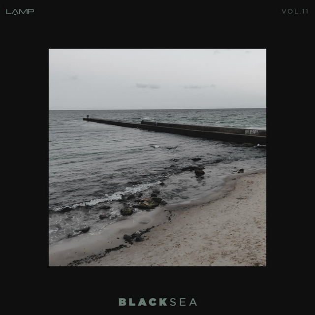 Cover art for Director 9 — Black Sea, Vol. 11