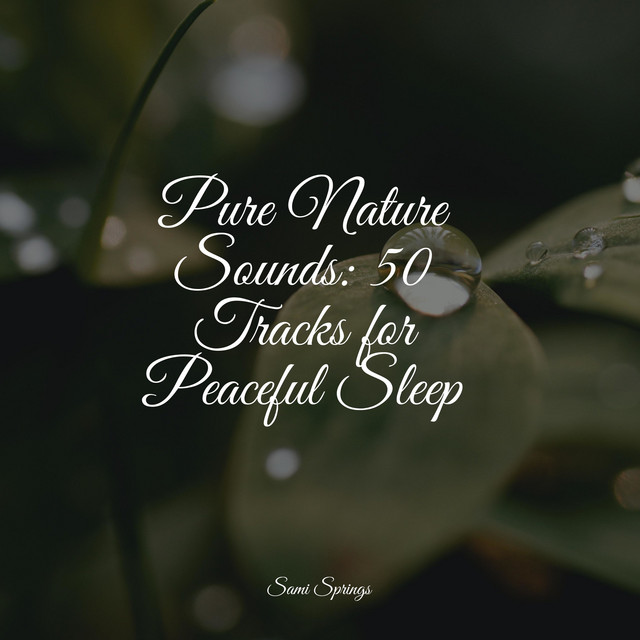 Pure Nature Sounds: 50 Tracks for Peaceful Sleep - Album de Anxiety ...