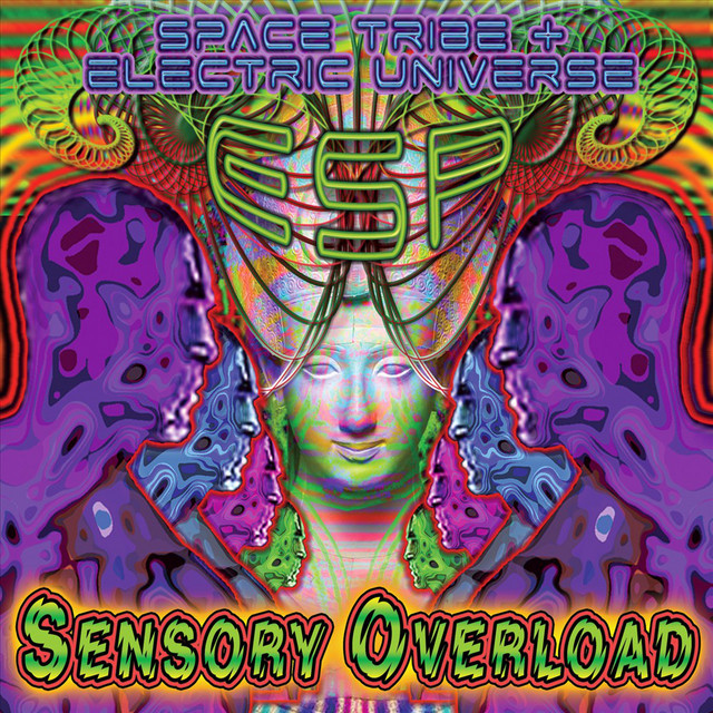 SENSORY OVERLOAD cover art