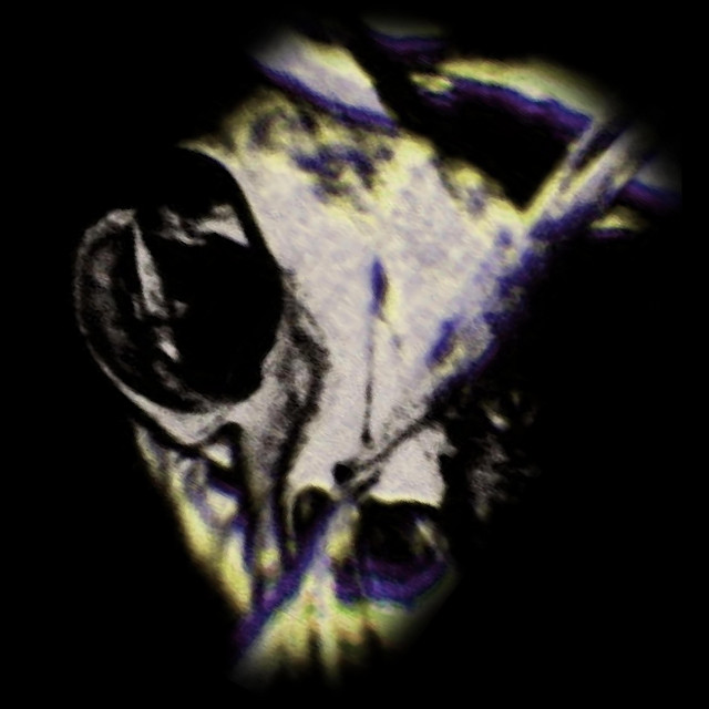 Comatose cover art