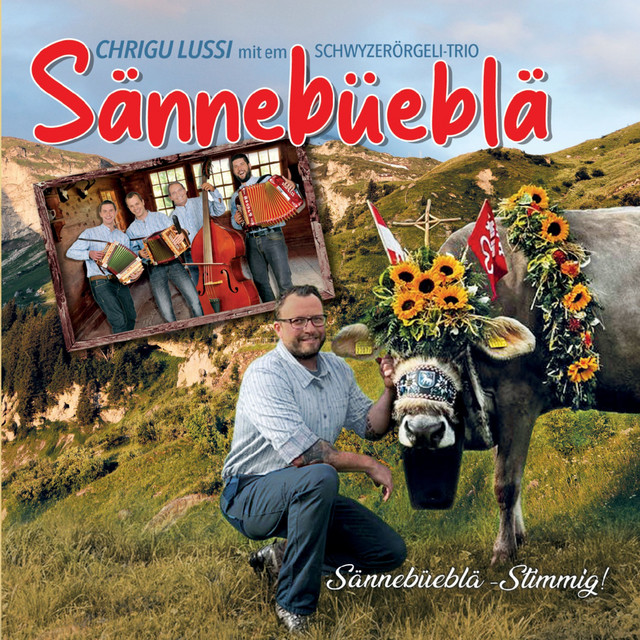 Sännebüeblä-Stimmig! cover art